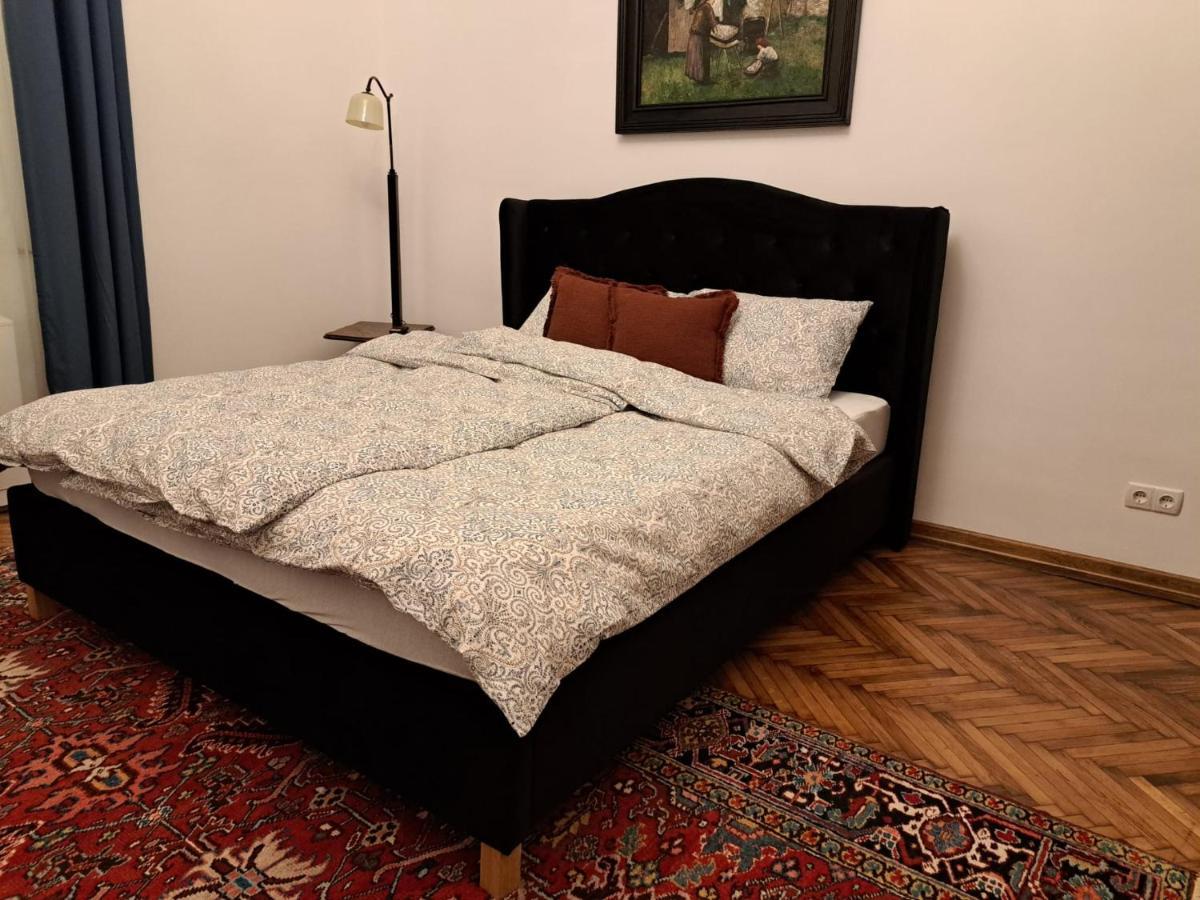 Weisz Apartment-City Center-Free Private Parking,Wifi,Ac Carei Dış mekan fotoğraf