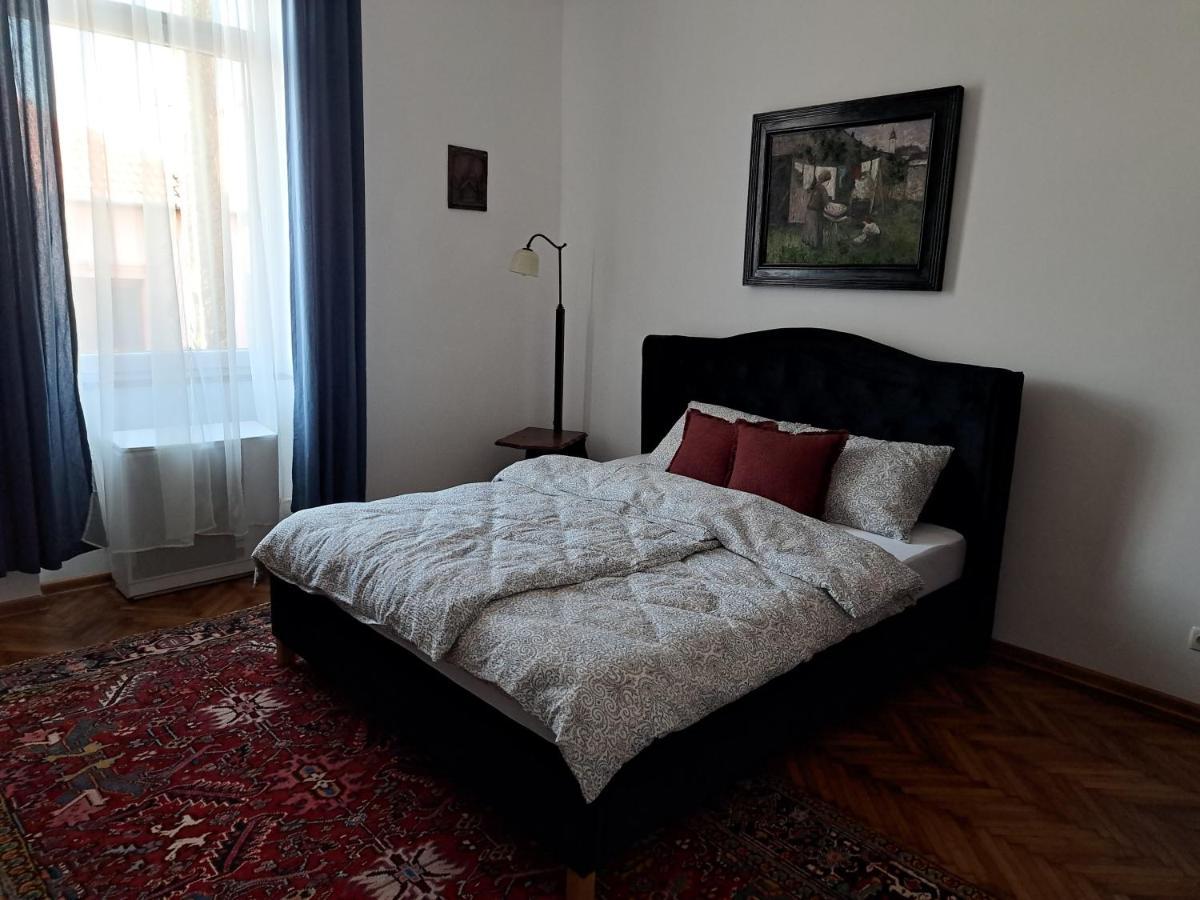Weisz Apartment-City Center-Free Private Parking,Wifi,Ac Carei Dış mekan fotoğraf