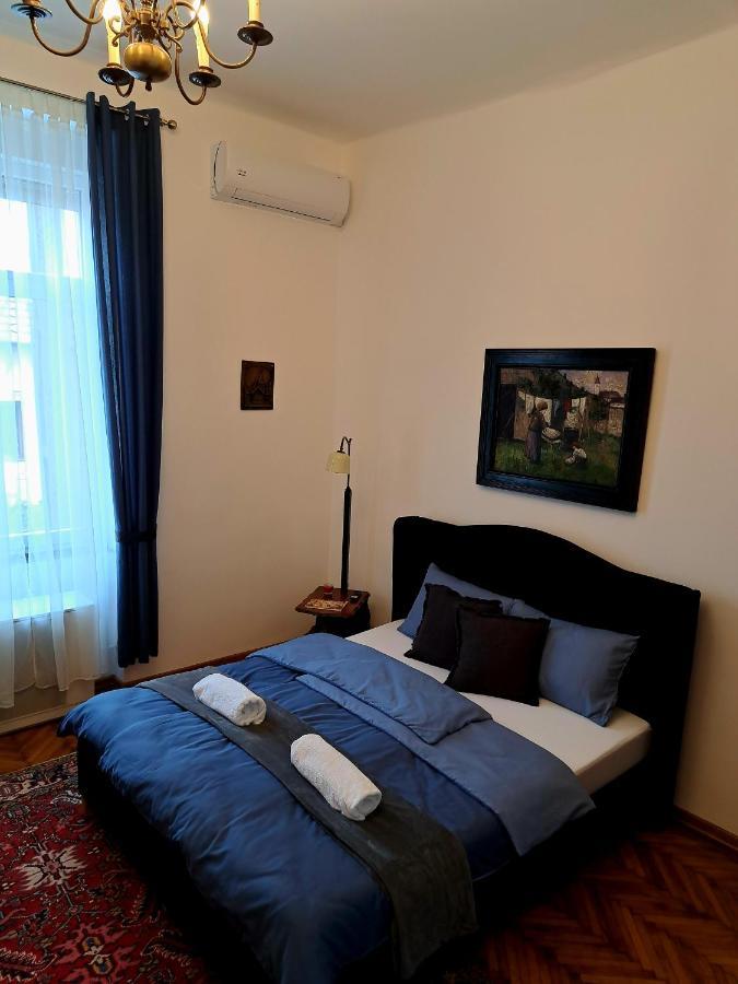 Weisz Apartment-City Center-Free Private Parking,Wifi,Ac Carei Dış mekan fotoğraf