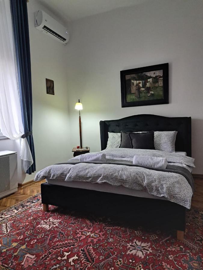 Weisz Apartment-City Center-Free Private Parking,Wifi,Ac Carei Dış mekan fotoğraf